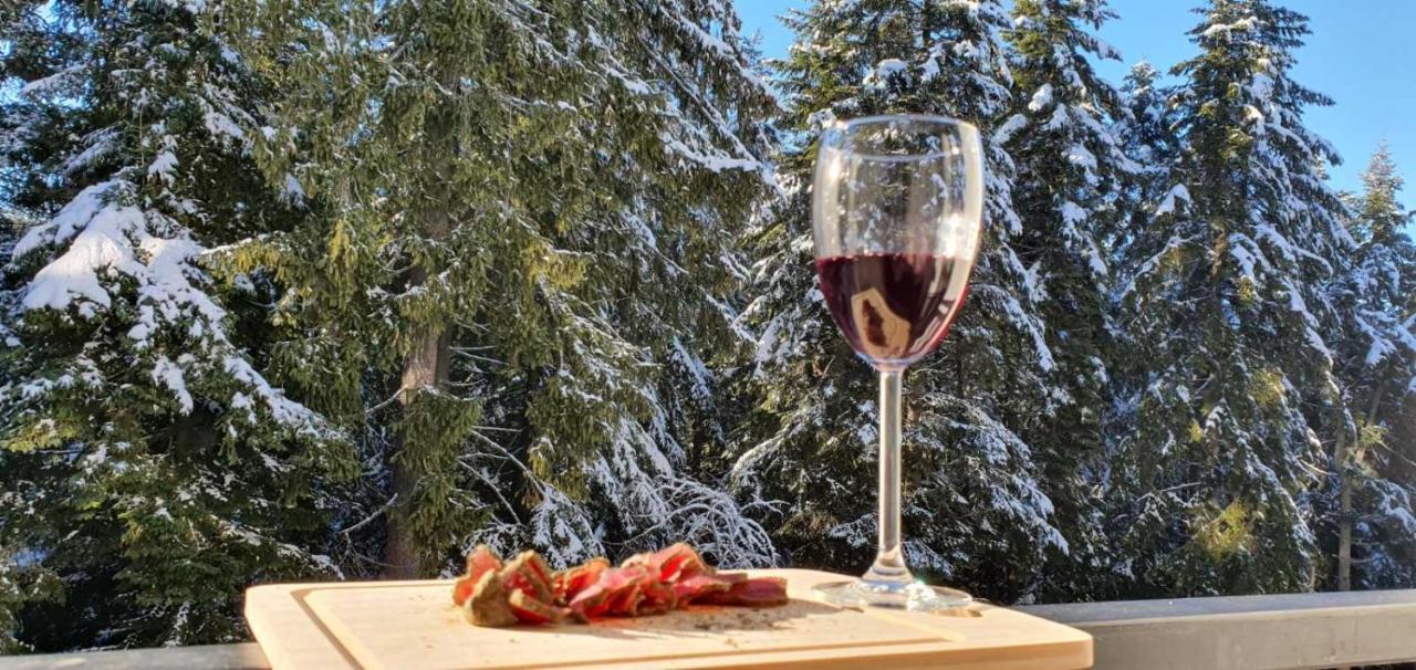 PineView boutique apartment Borovets Gardens Extérieur photo