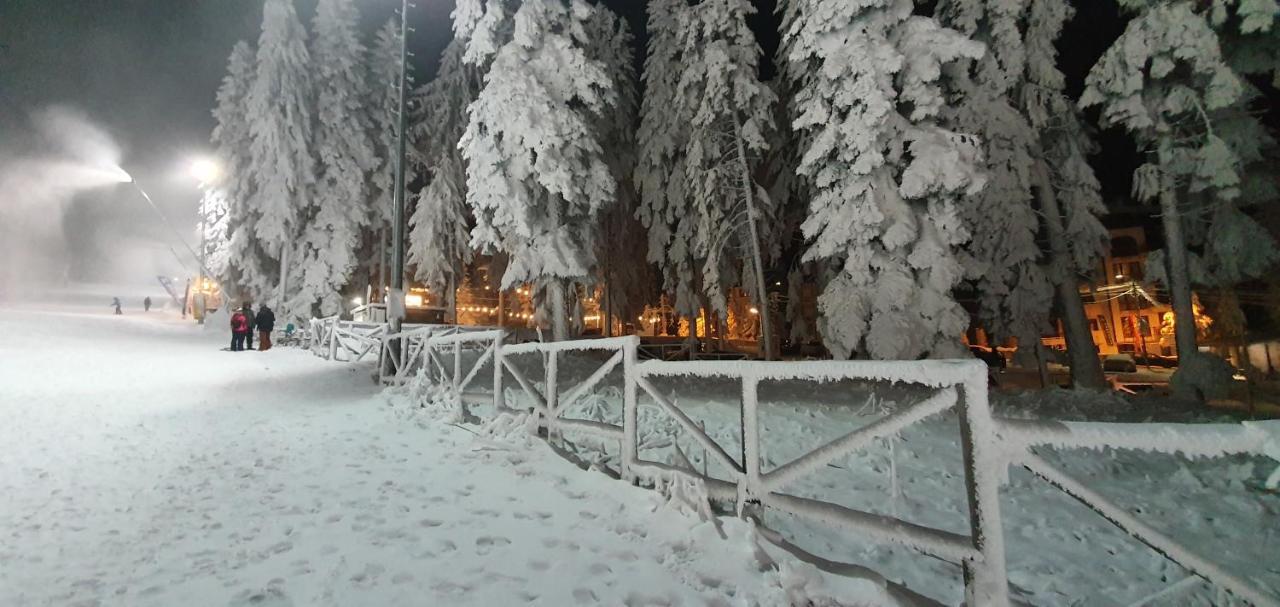 PineView boutique apartment Borovets Gardens Extérieur photo