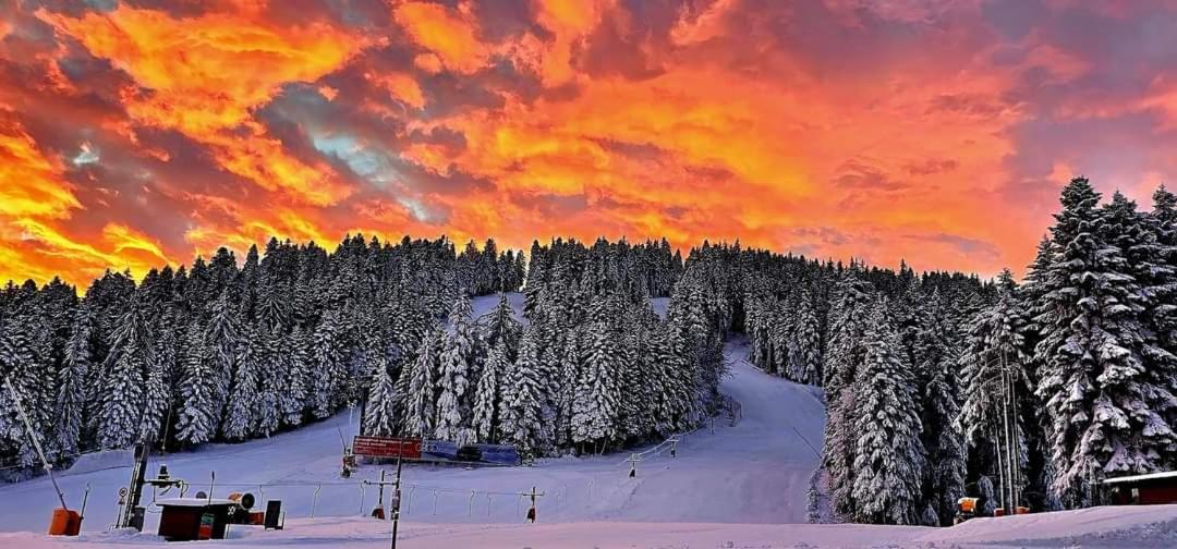 PineView boutique apartment Borovets Gardens Extérieur photo